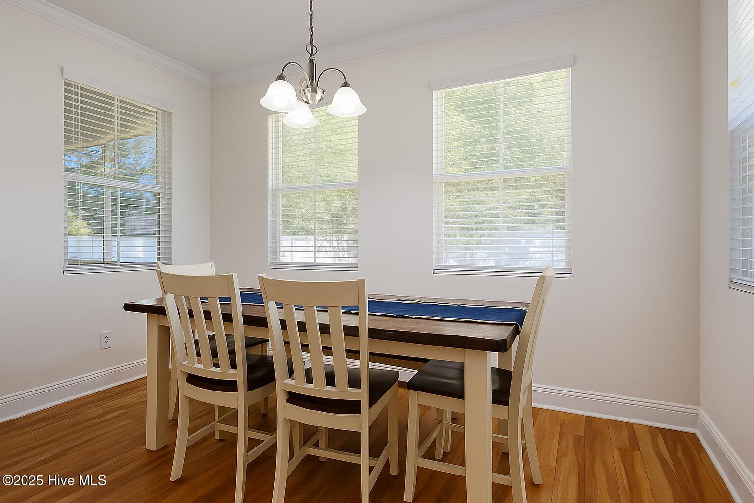 100539701 | Photo 19