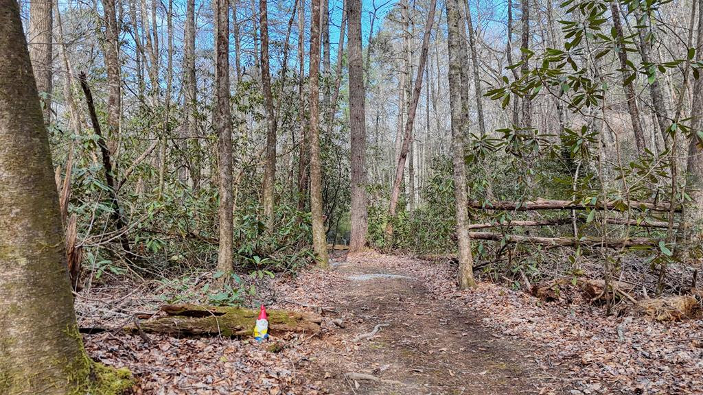 520 Farmer Drive, Murphy, NC 28906 Listing Photo  131