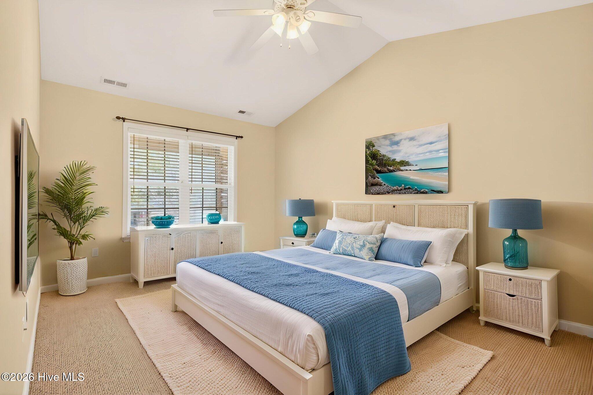 100558532 | Photo 30