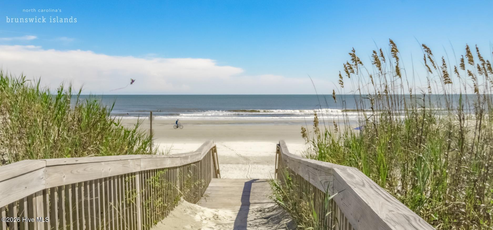 100547880 | Photo 67