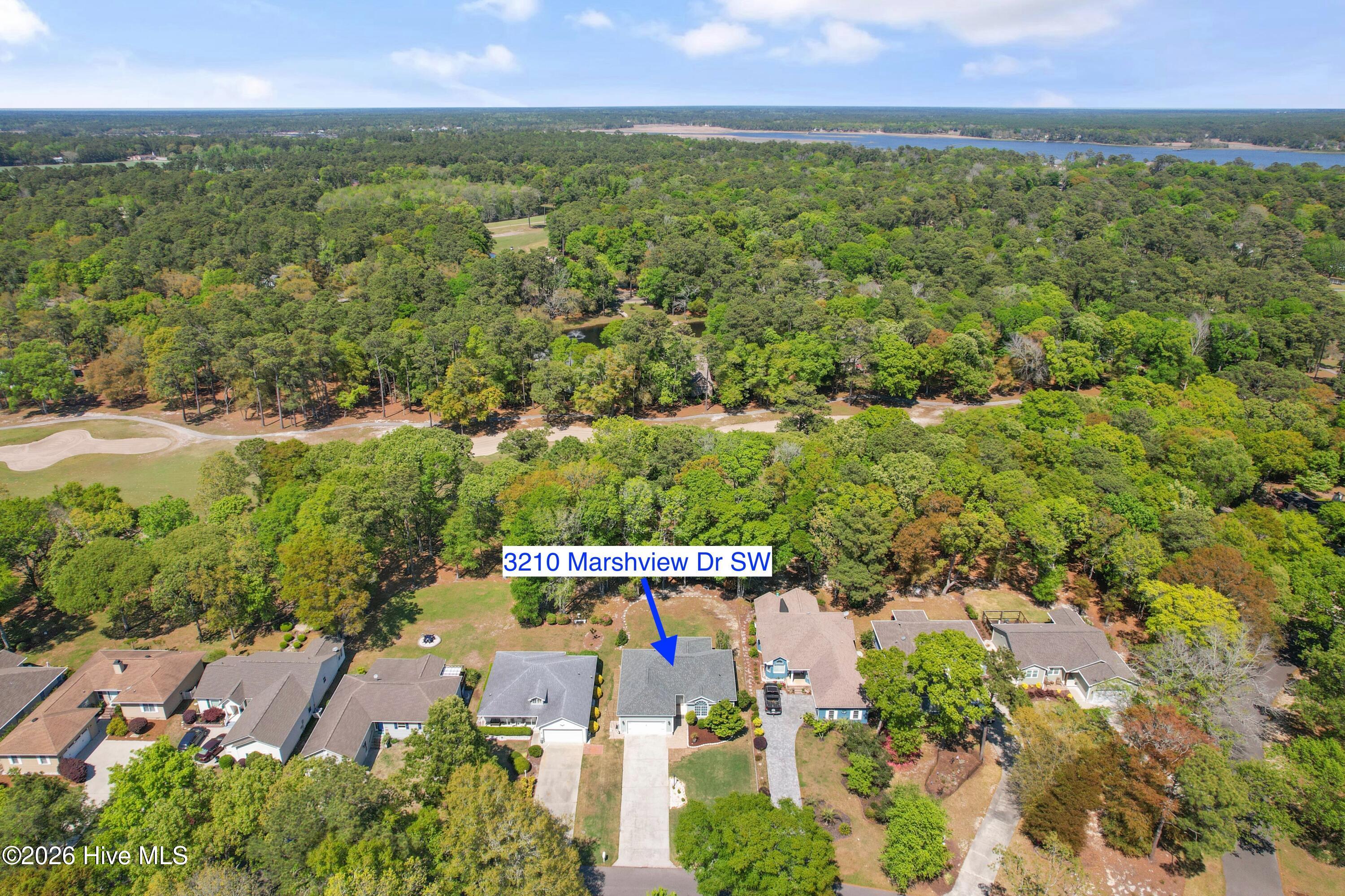 100567872 | Photo 37