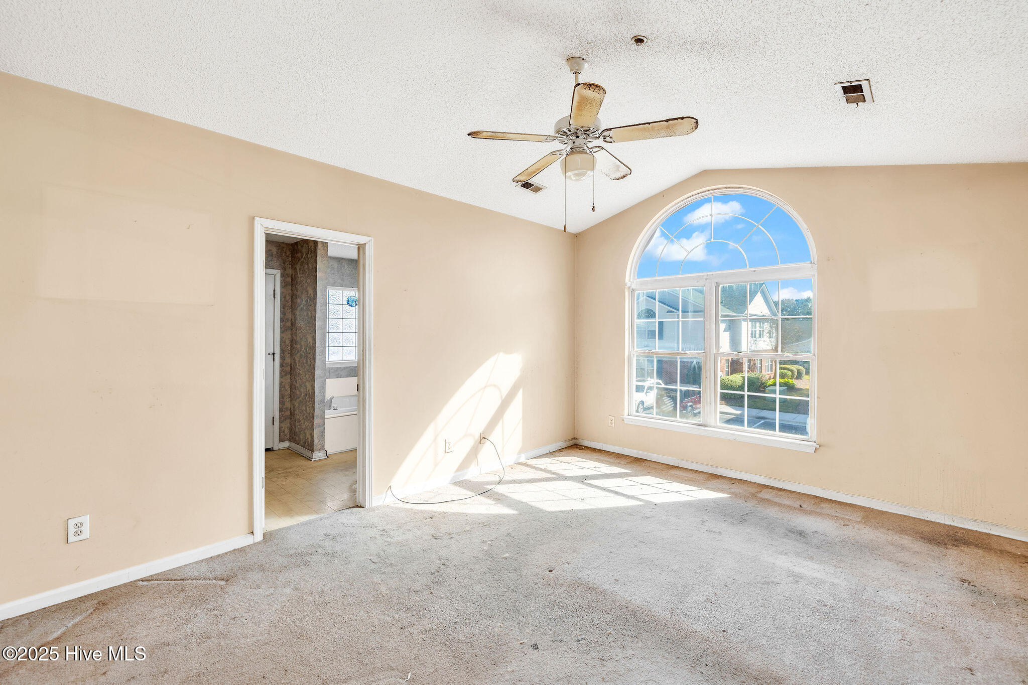 100541410 | Photo 13