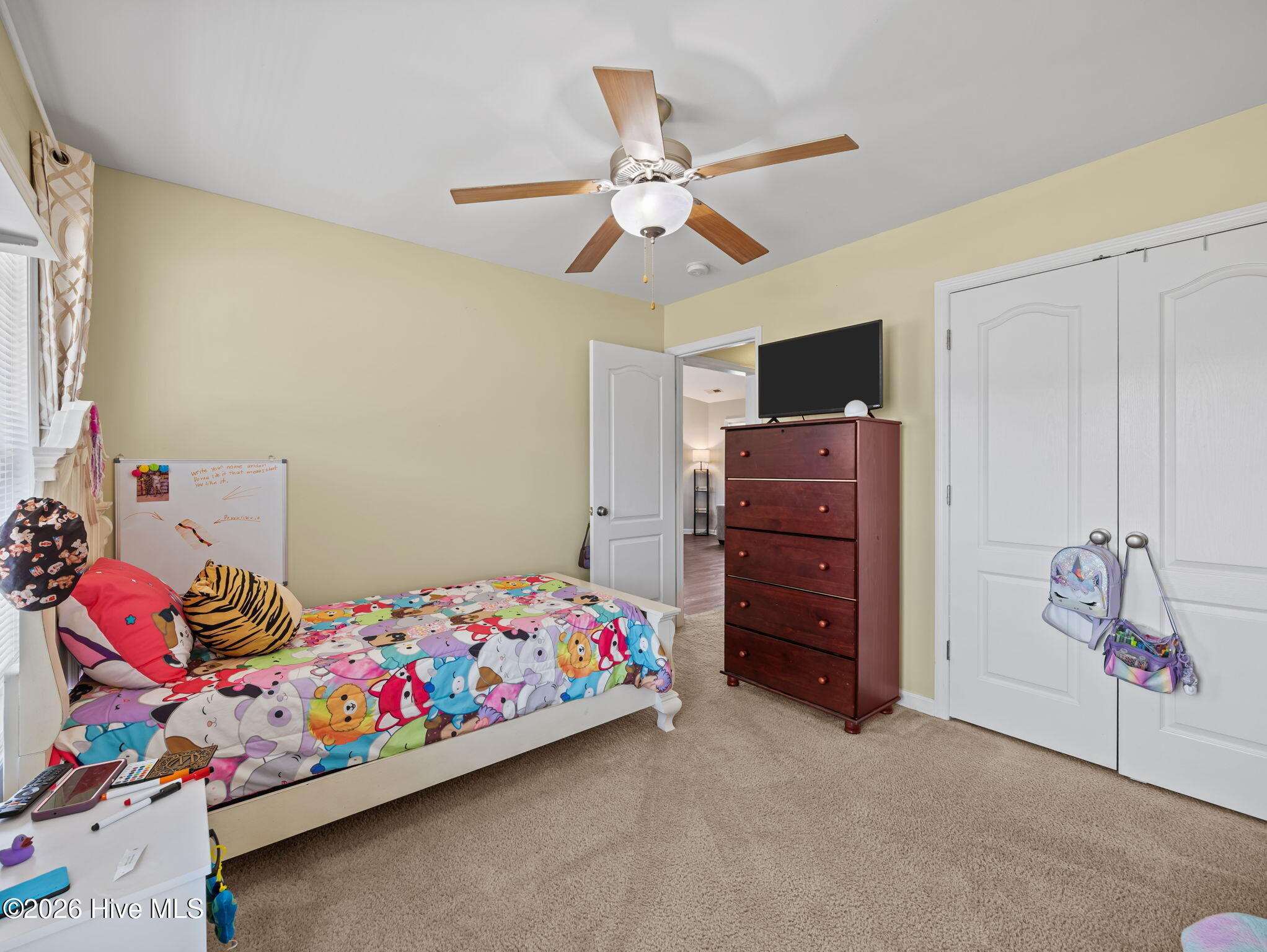 100569834 | Photo 28