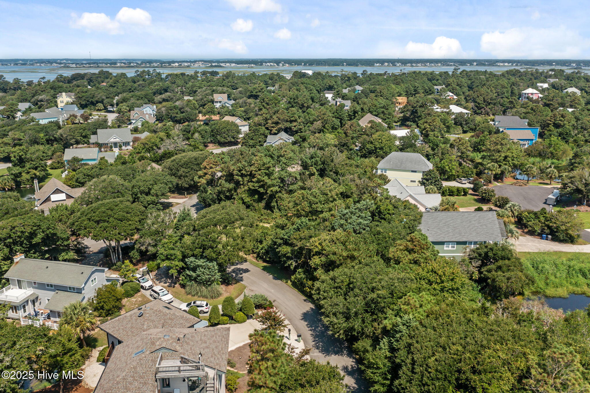 100525886 | Photo 20