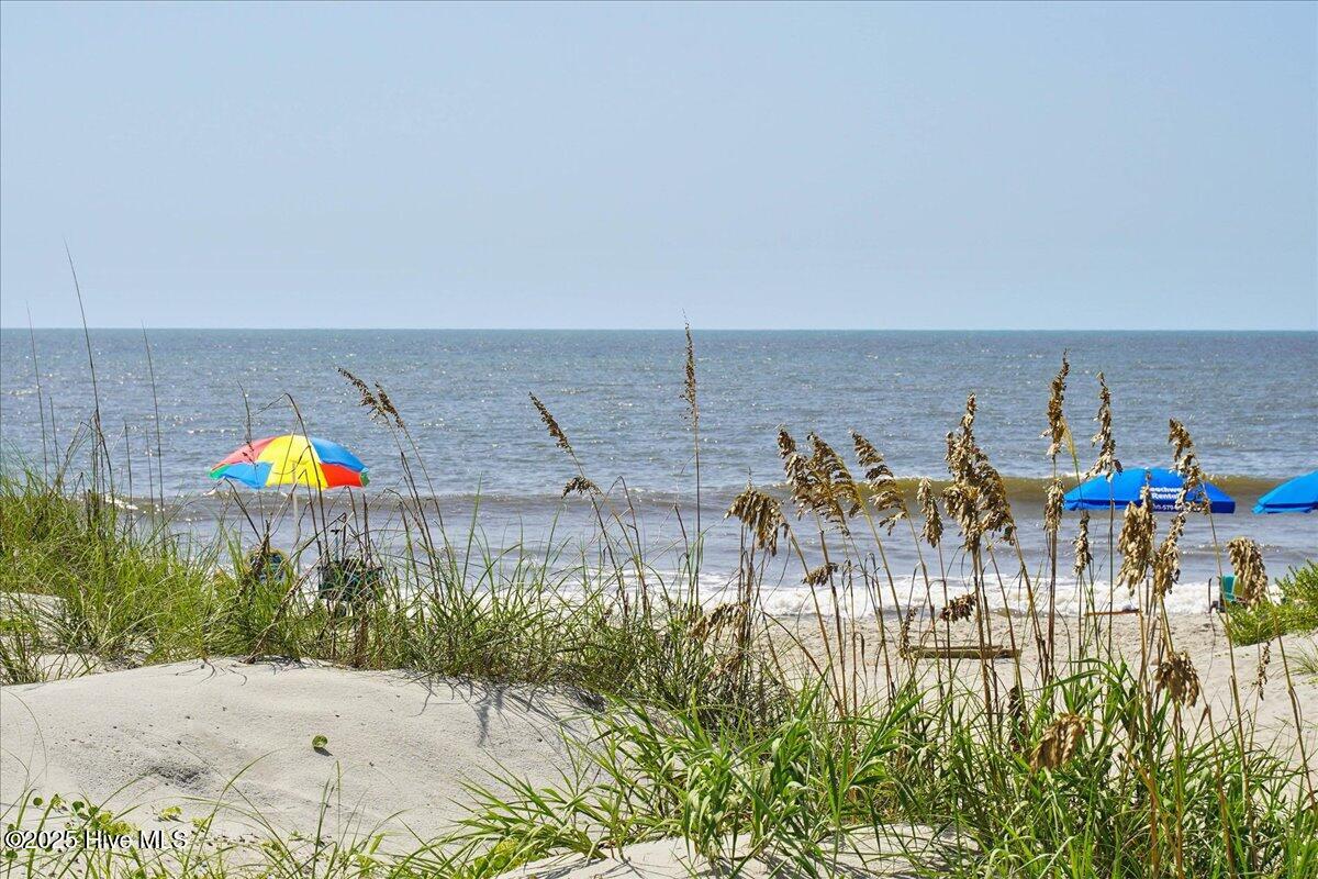 100529253 | Photo 66