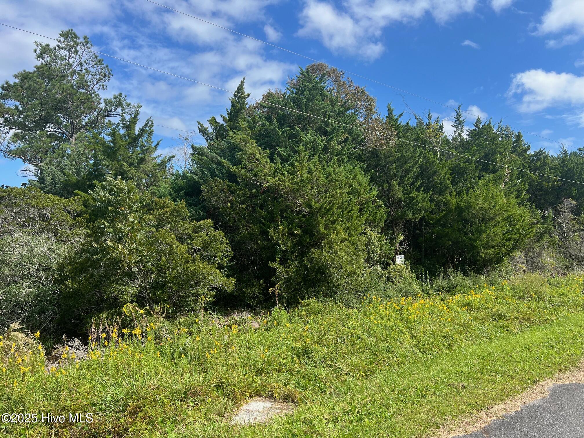 Homes for sale in Beaufort, NC | 157 Sunrise Dr, Beaufort, NC 28516 | MLS# 100538718