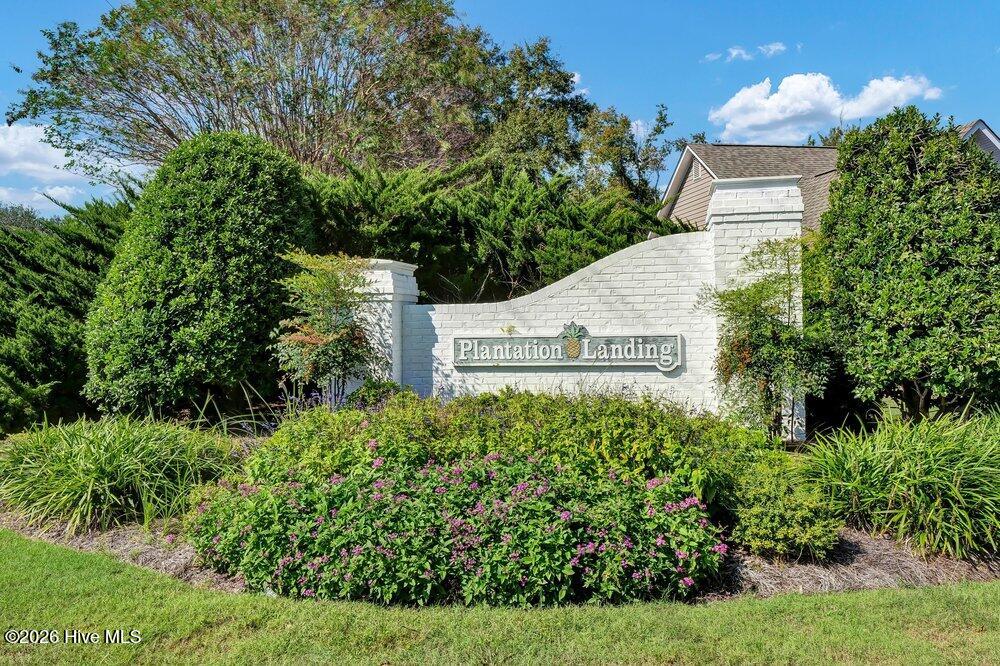 100555857 | Photo 51