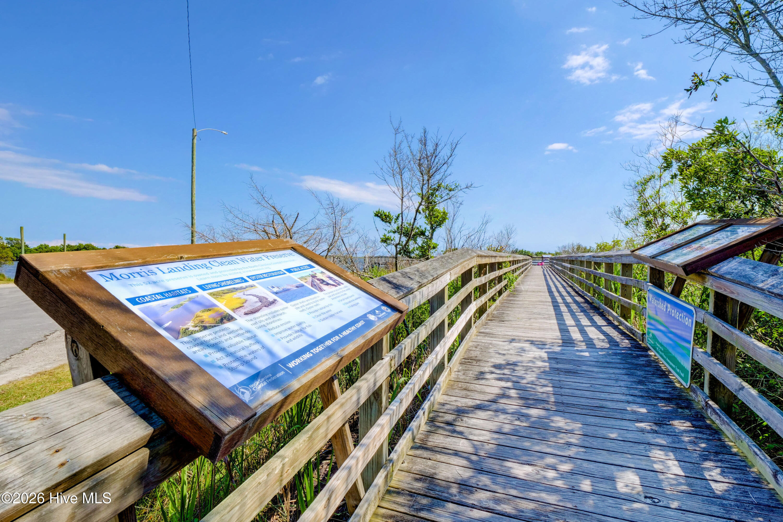 100564662 | Photo 30