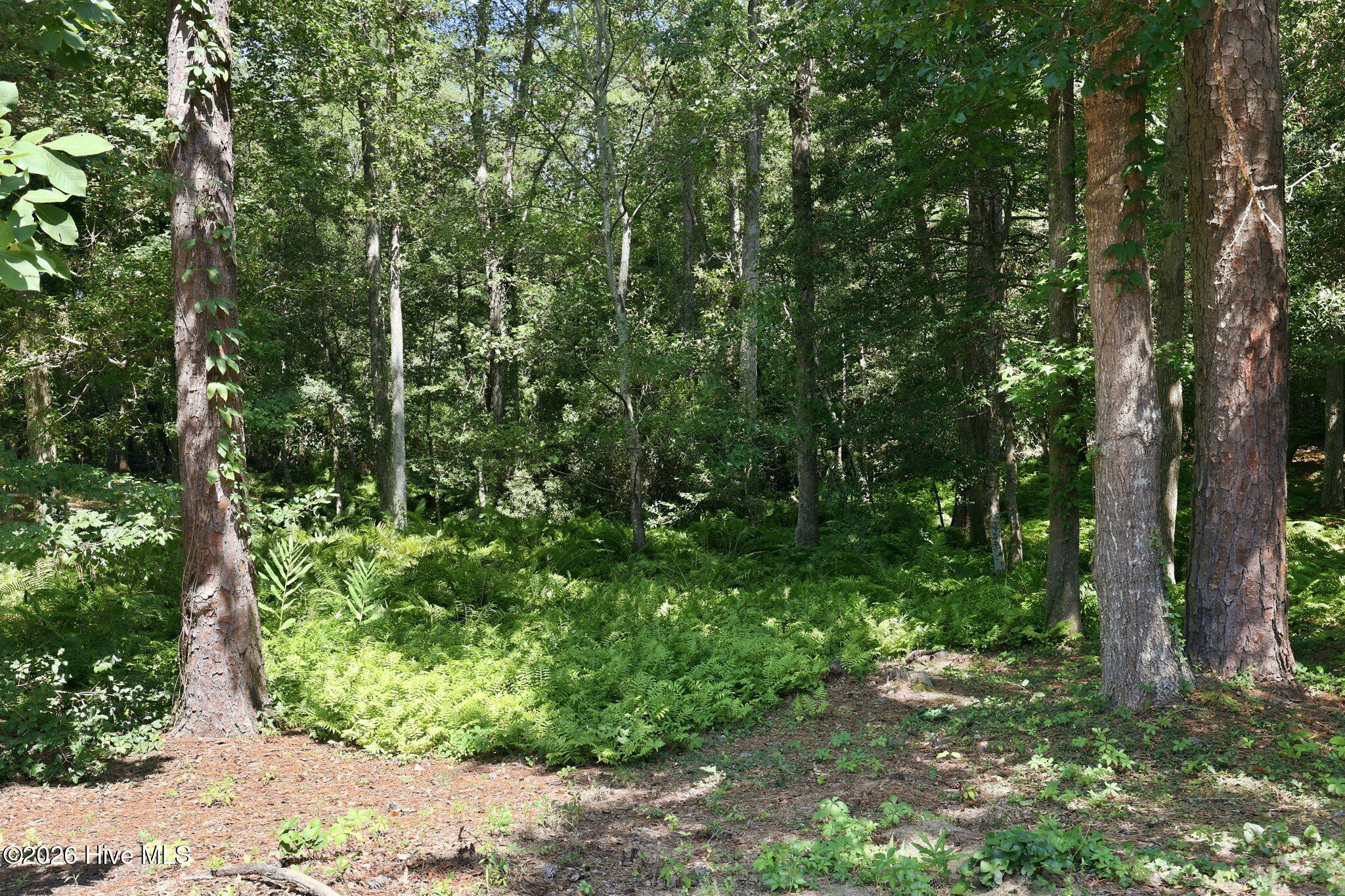 117 Woodridge Drive,Morehead City