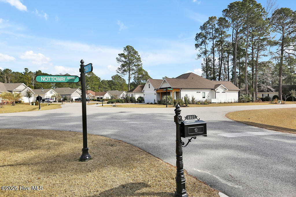 100555392 | Photo 30