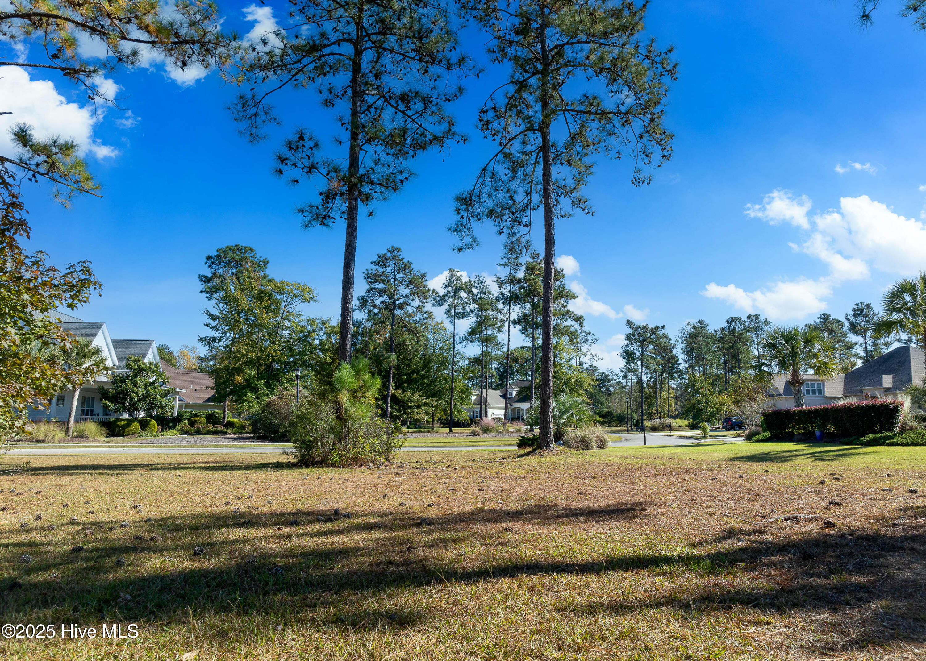 100539491 | Photo 20