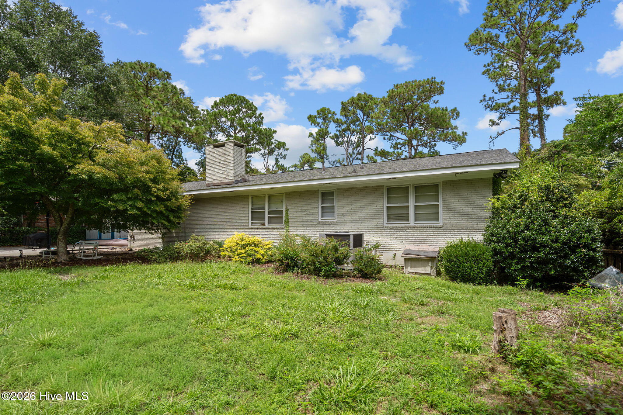 100525803 | Photo 43