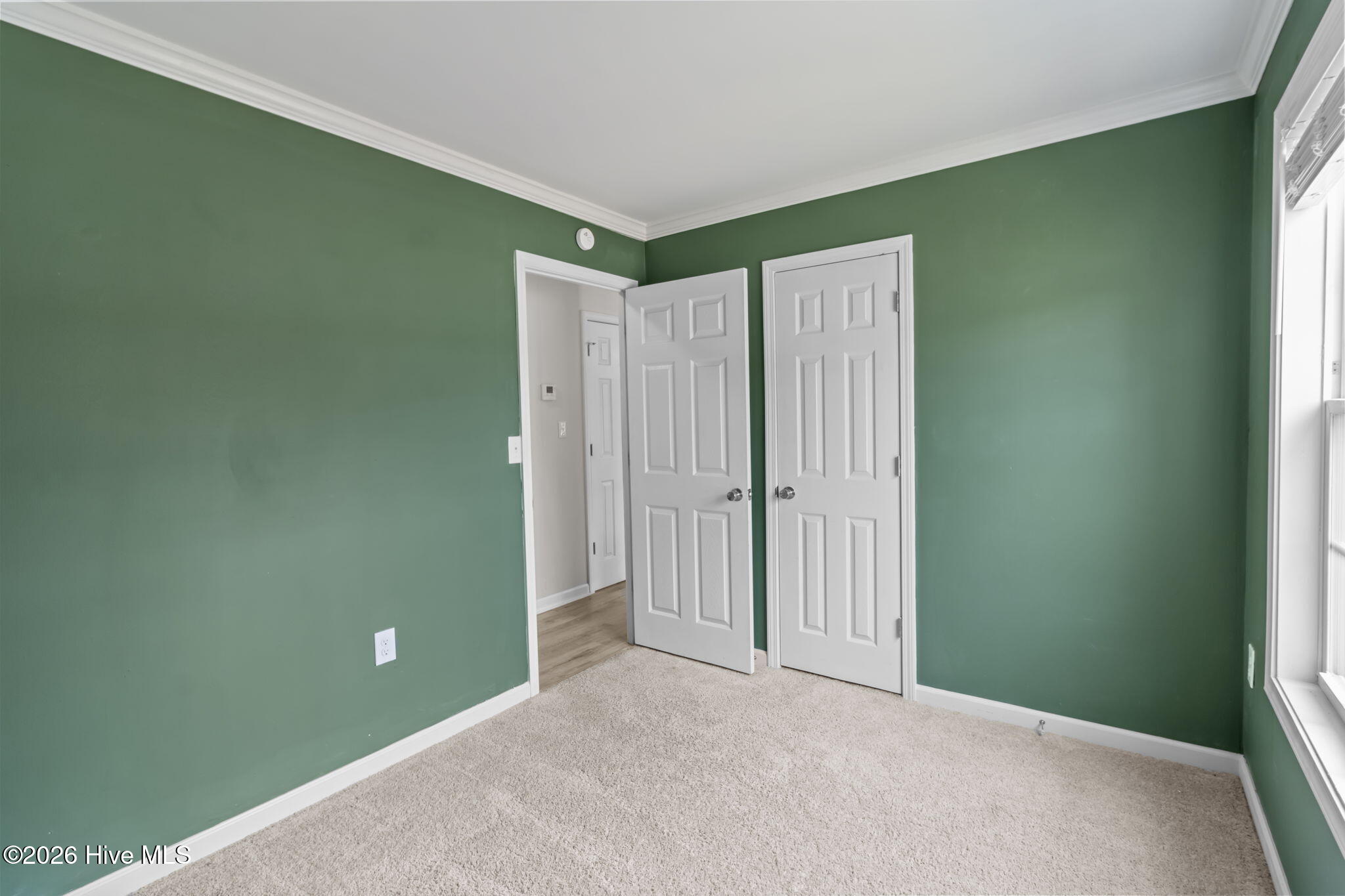 100561456 | Photo 16