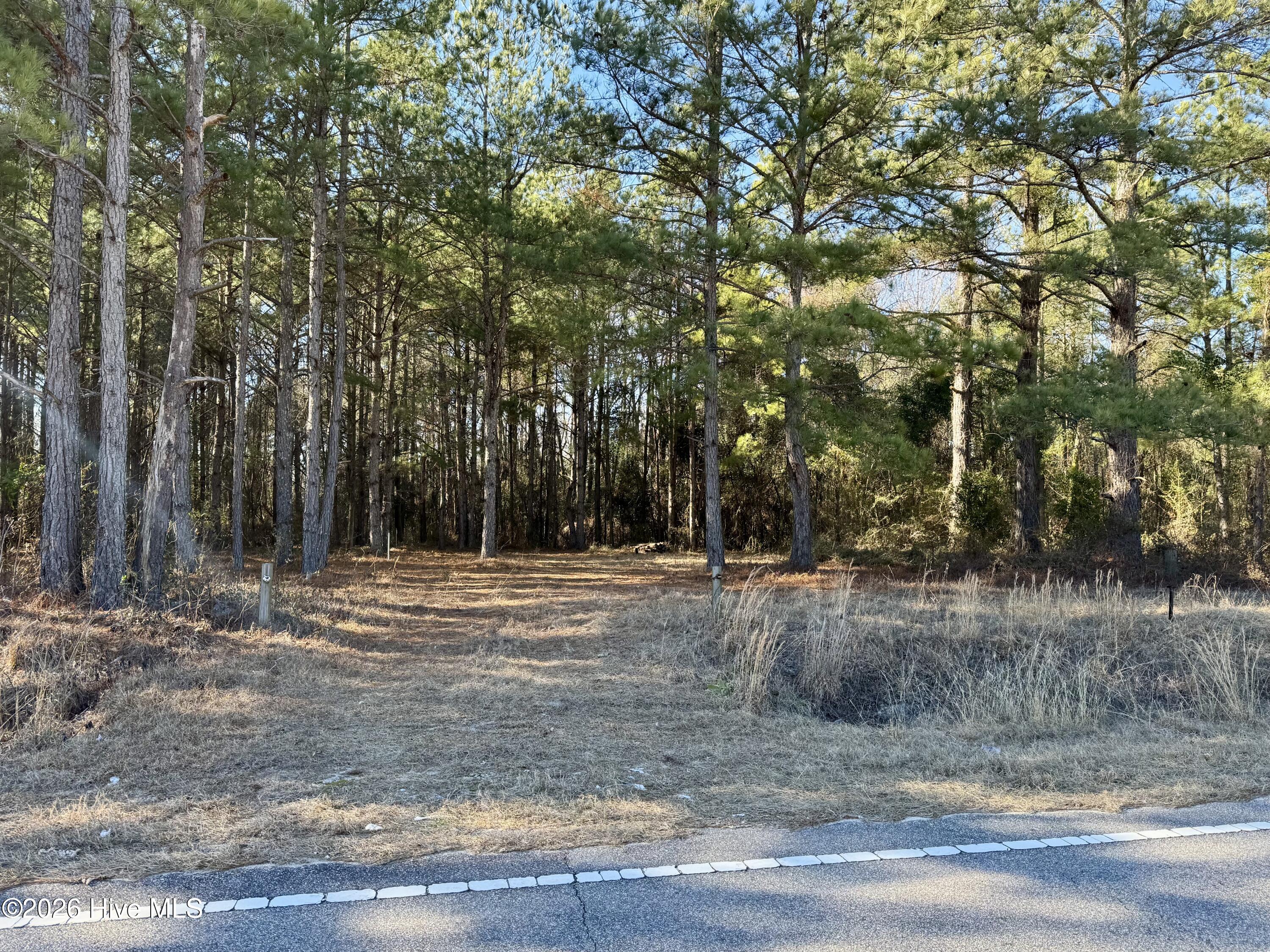 Homes for sale in Maxton, NC | Tbd Nc 83 Hwy, Maxton, NC 28364 | MLS# 100549630