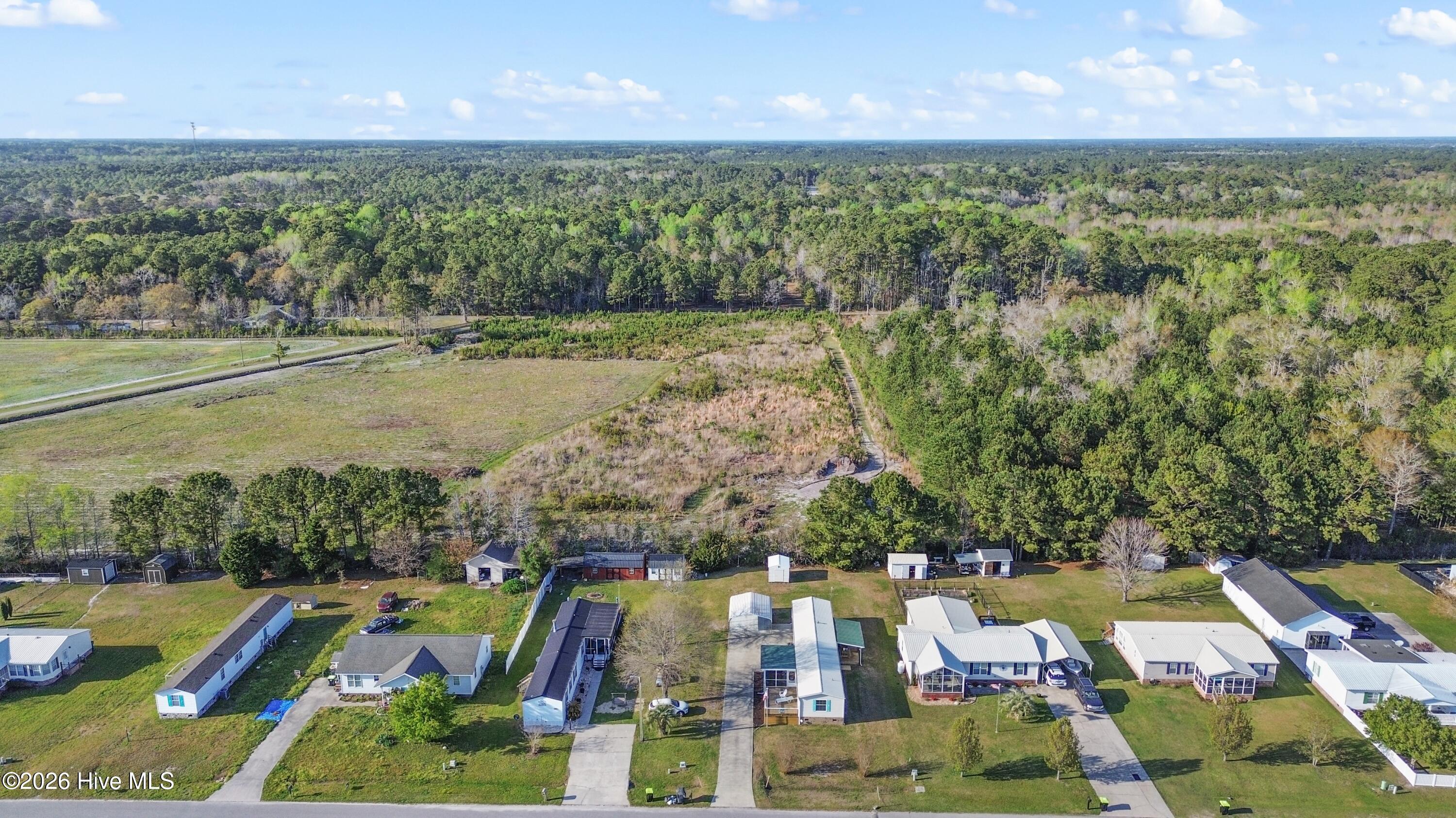 100564695 | Photo 28