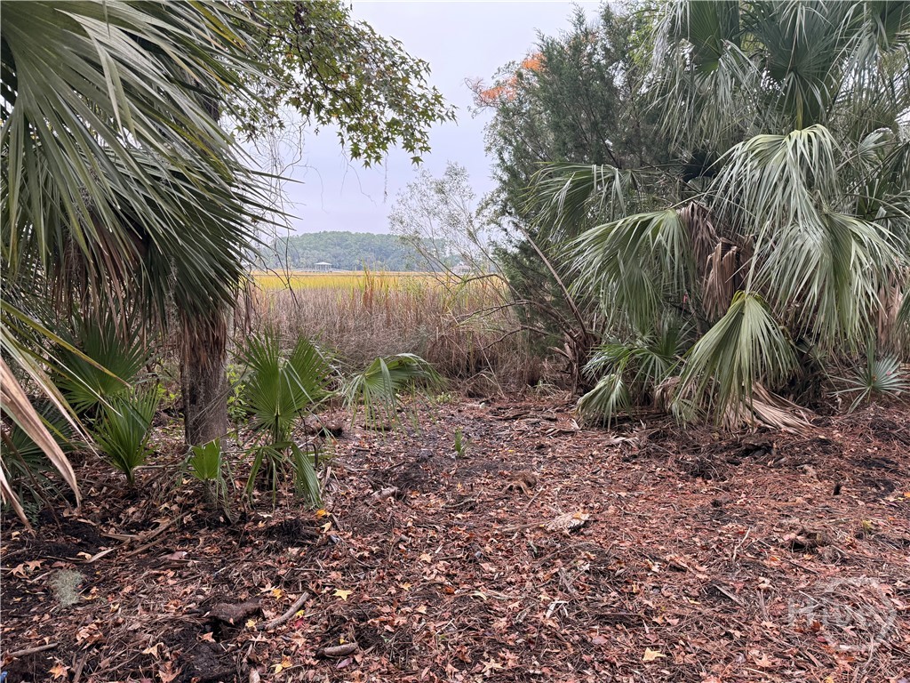 209 Battery, Savannah, Georgia, 0 ,Land,For sale,Battery,SA353008 209 Battery, Savannah, Georgia, 0 ,Land,For sale,Battery,SA353008