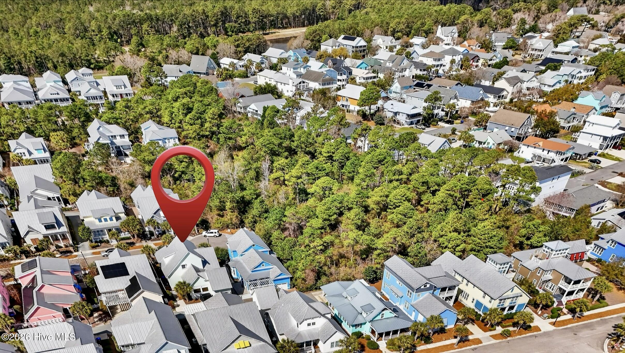 100559035 | Photo 51