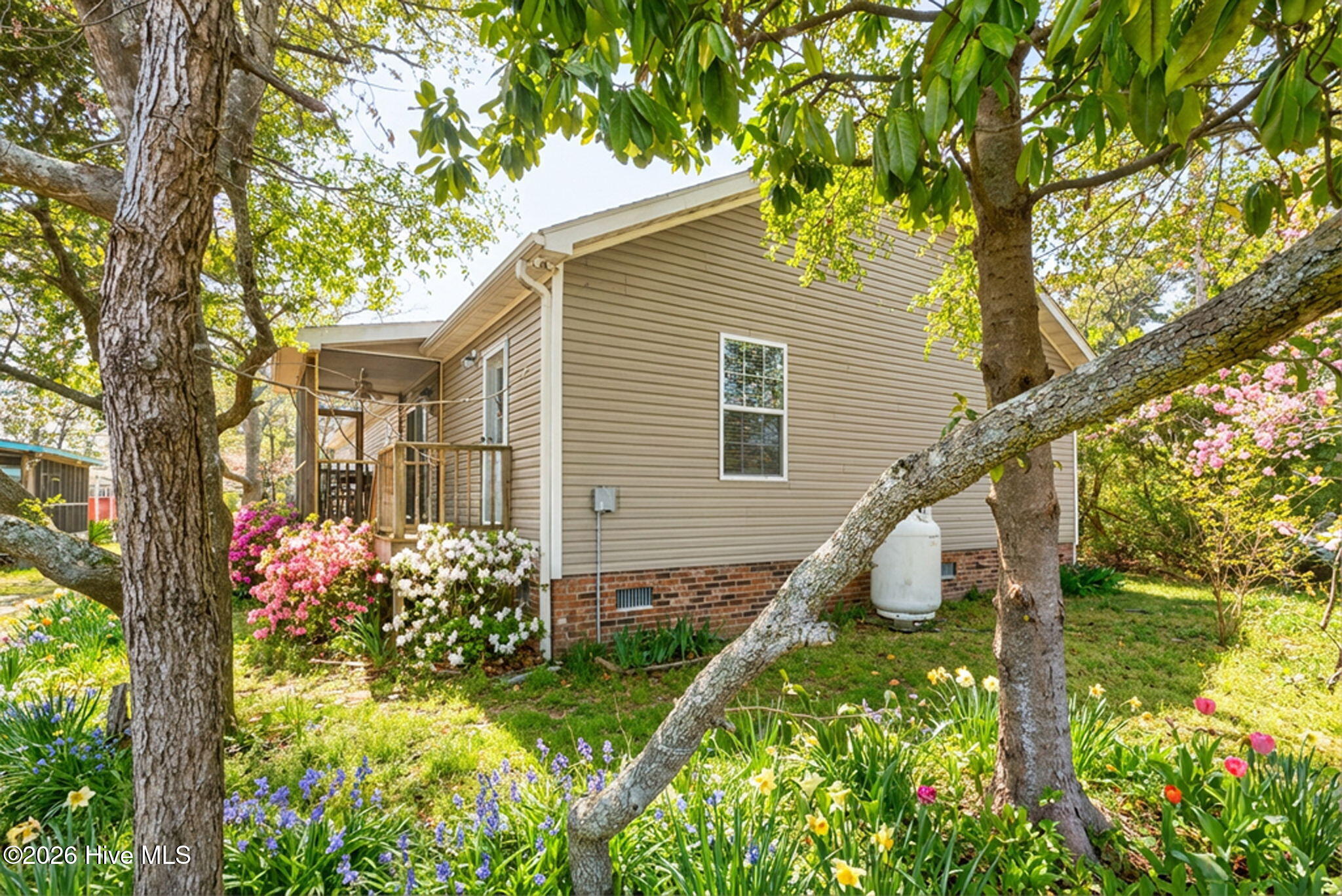 100557070 | Photo 43