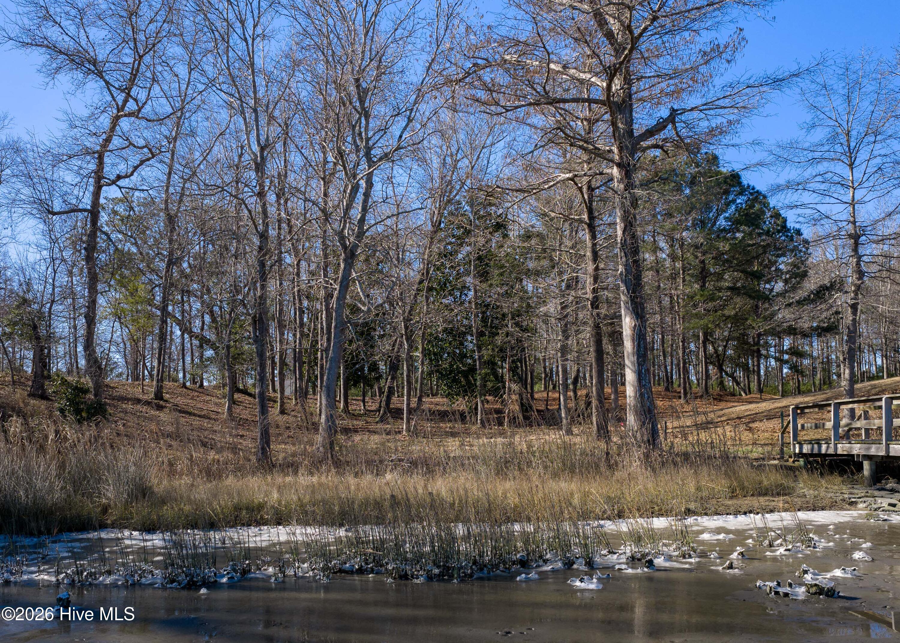 100551638 | Photo 25