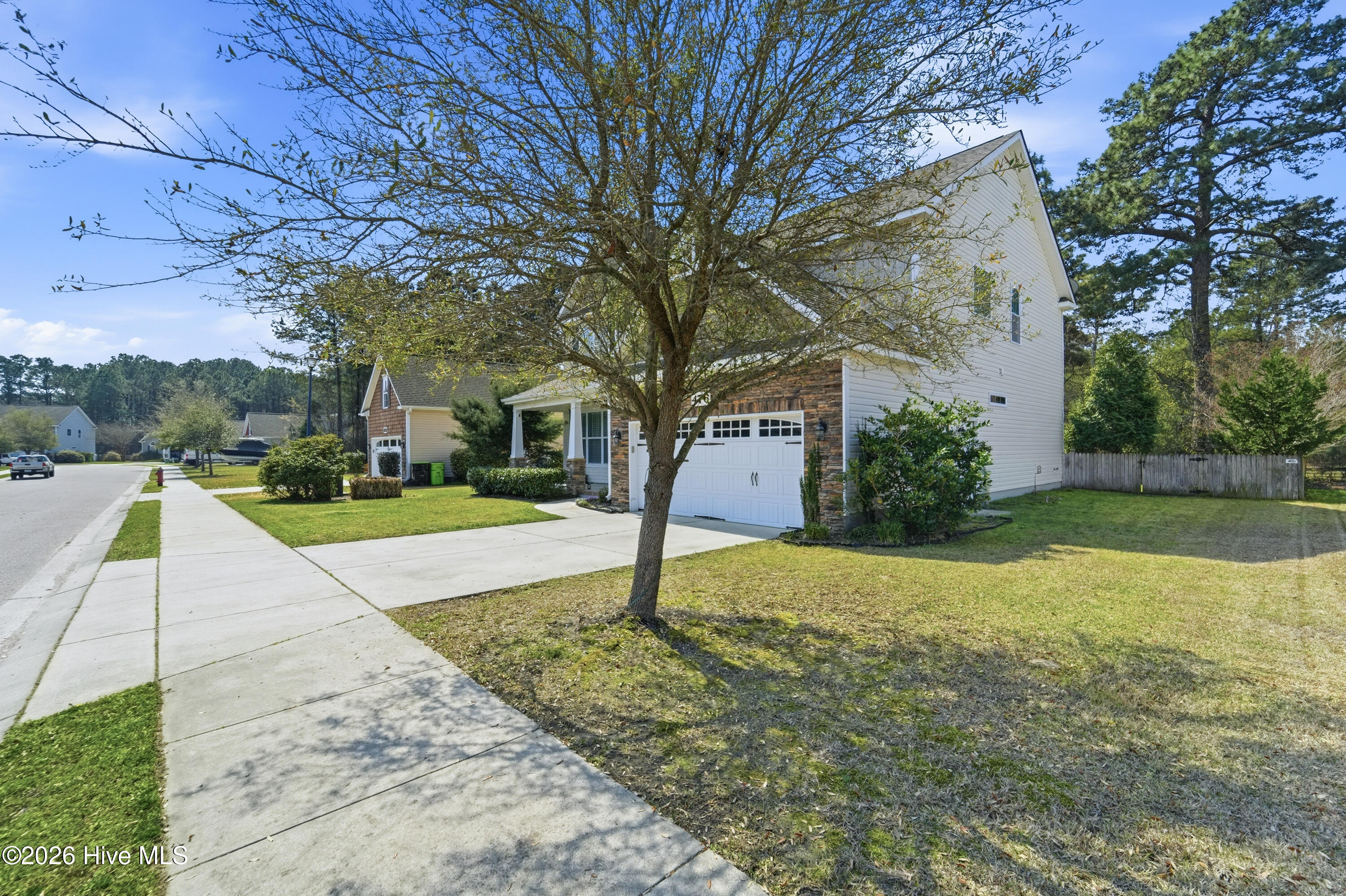 100562965 | Photo 19