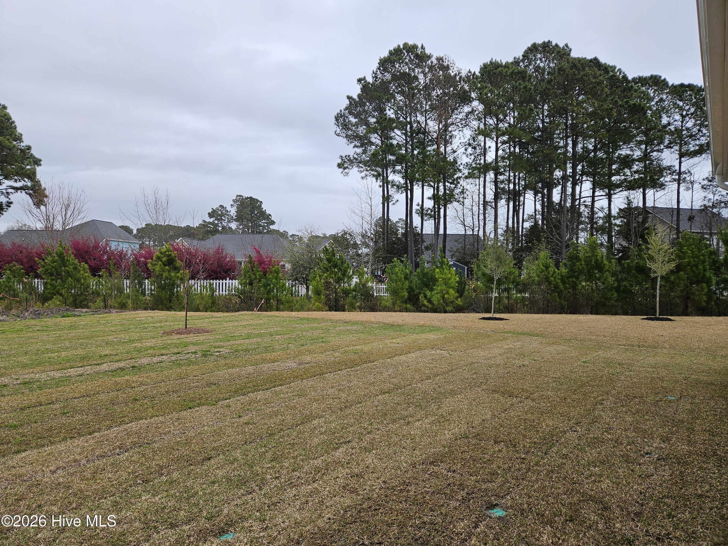 100569103 | Photo 34