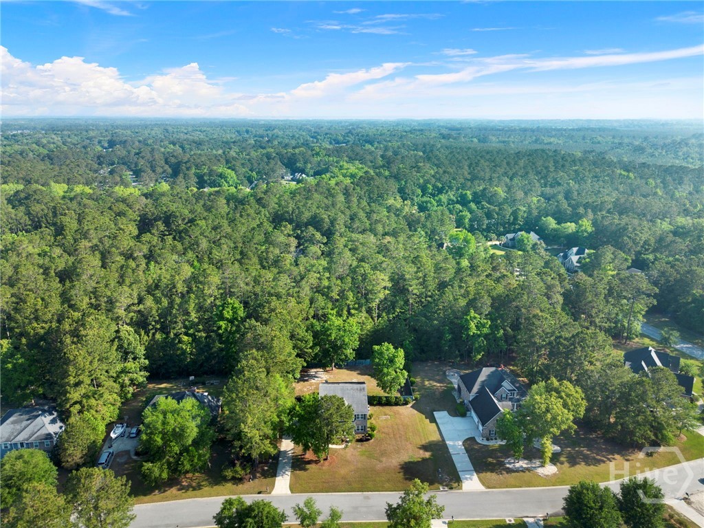 525 Dalcross Drive, Richmond Hill, GA 31324 Listing Photo  42