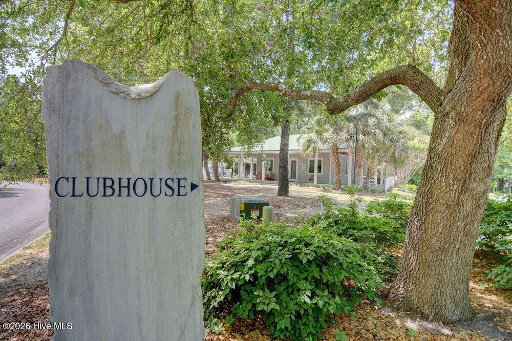 100558547 | Photo 52