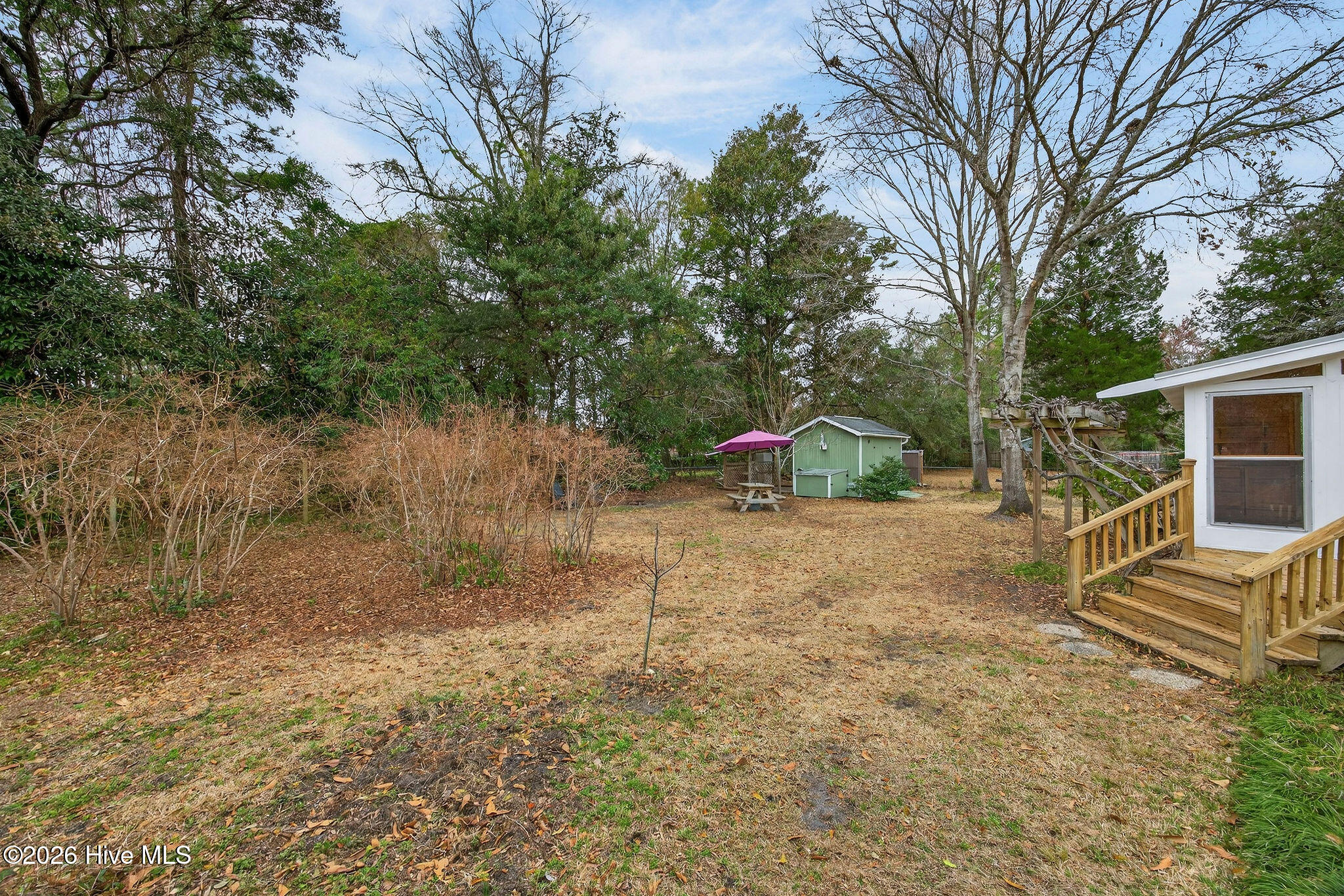 100557140 | Photo 44