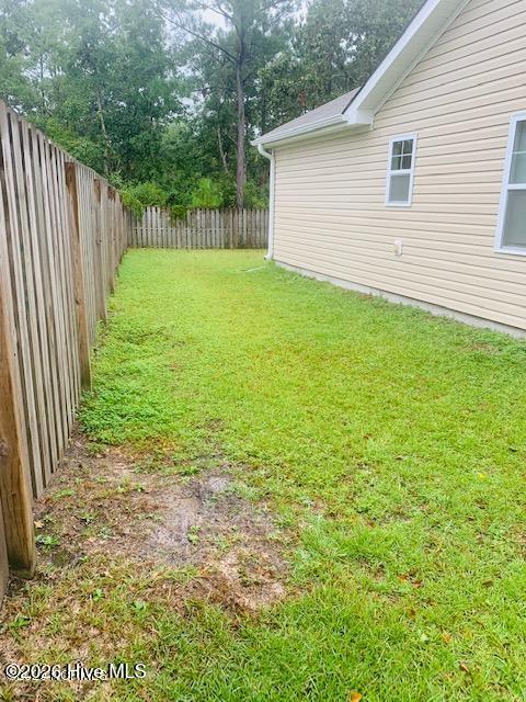 100554241 | Photo 18