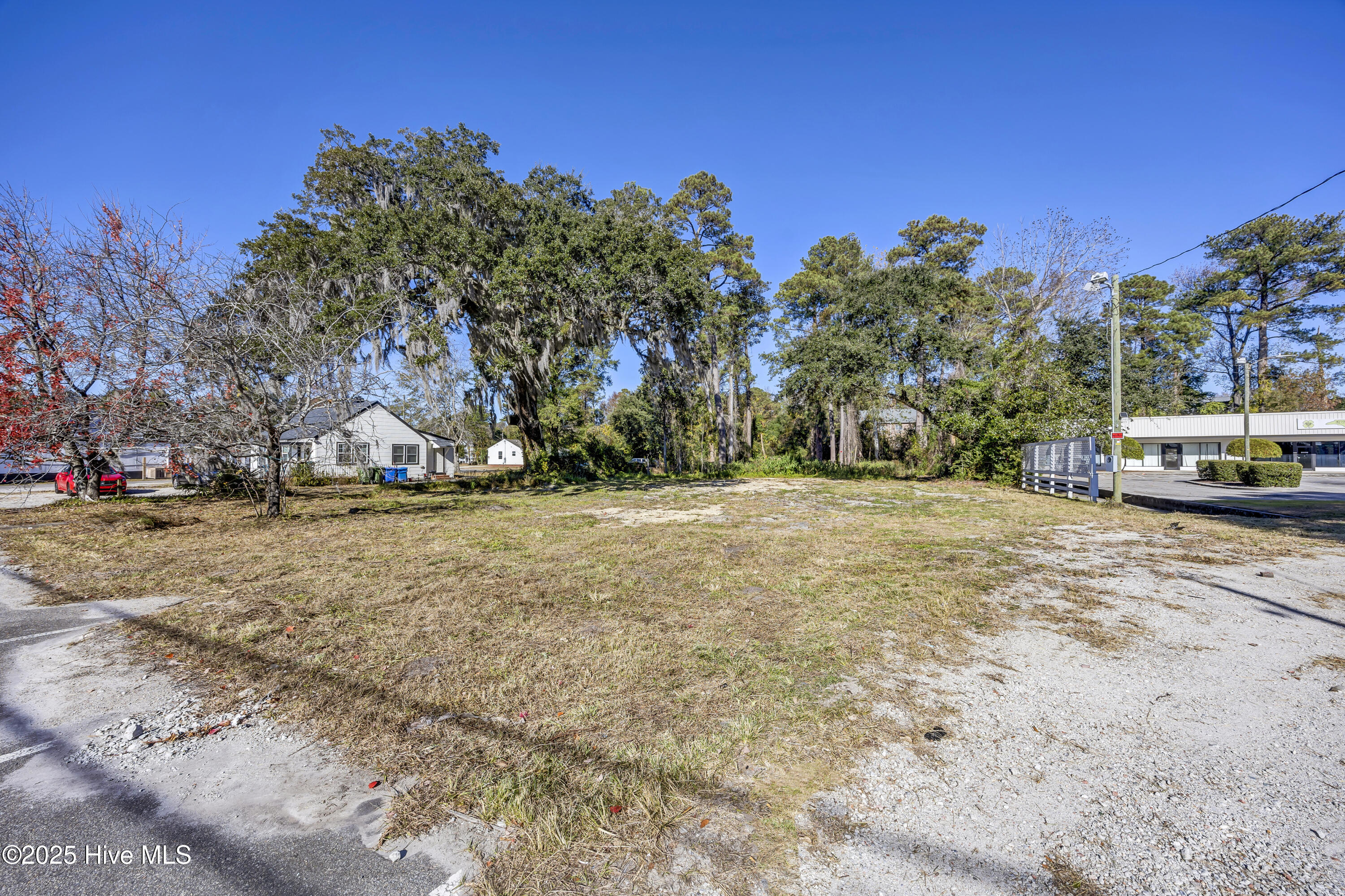 100545529 | Photo 13