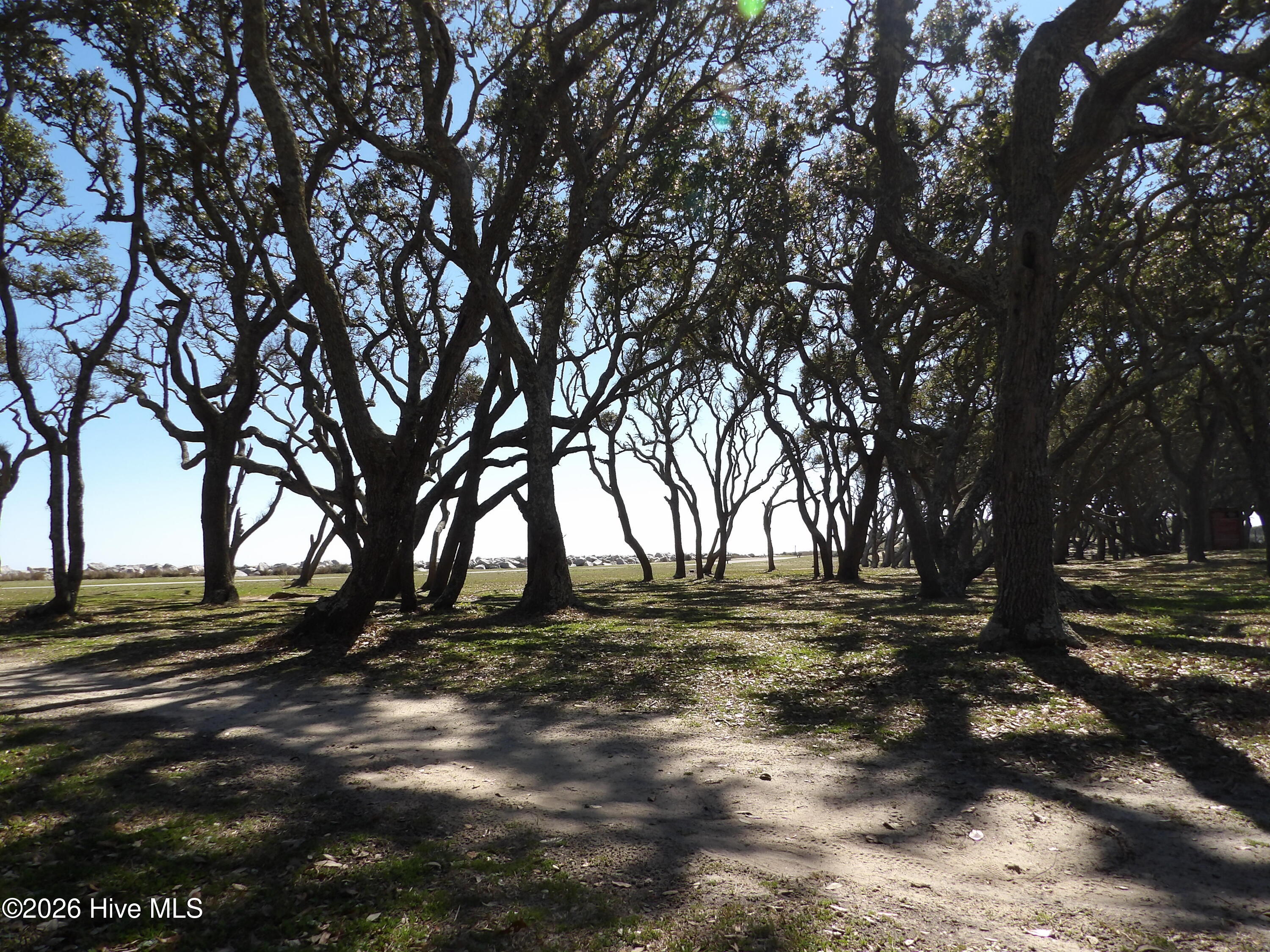 100554586 | Photo 40