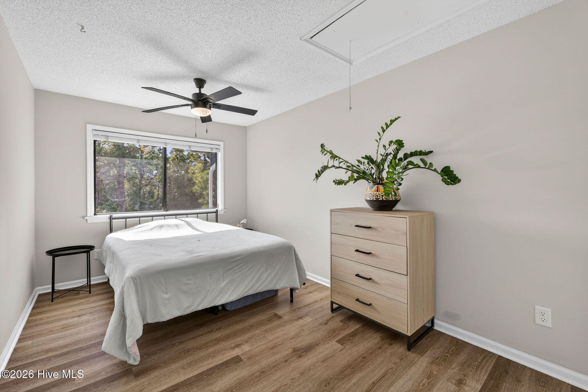 100555356 | Photo 17