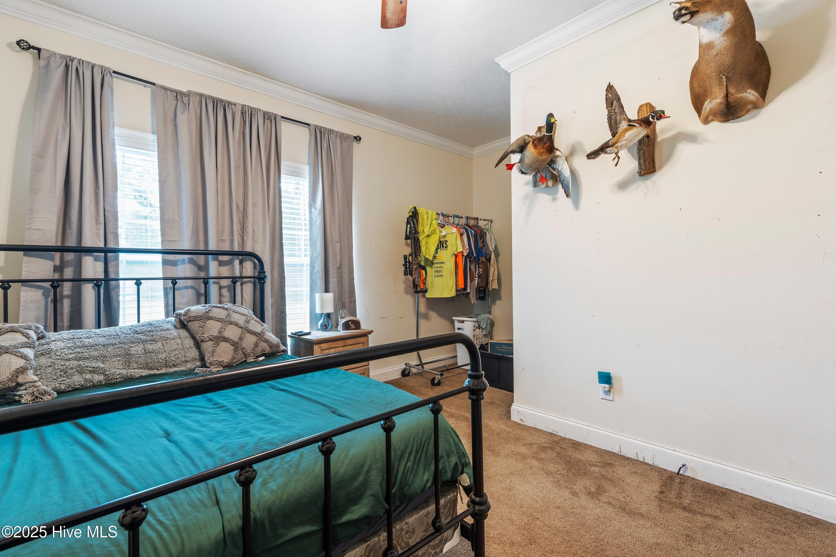 100537388 | Photo 47