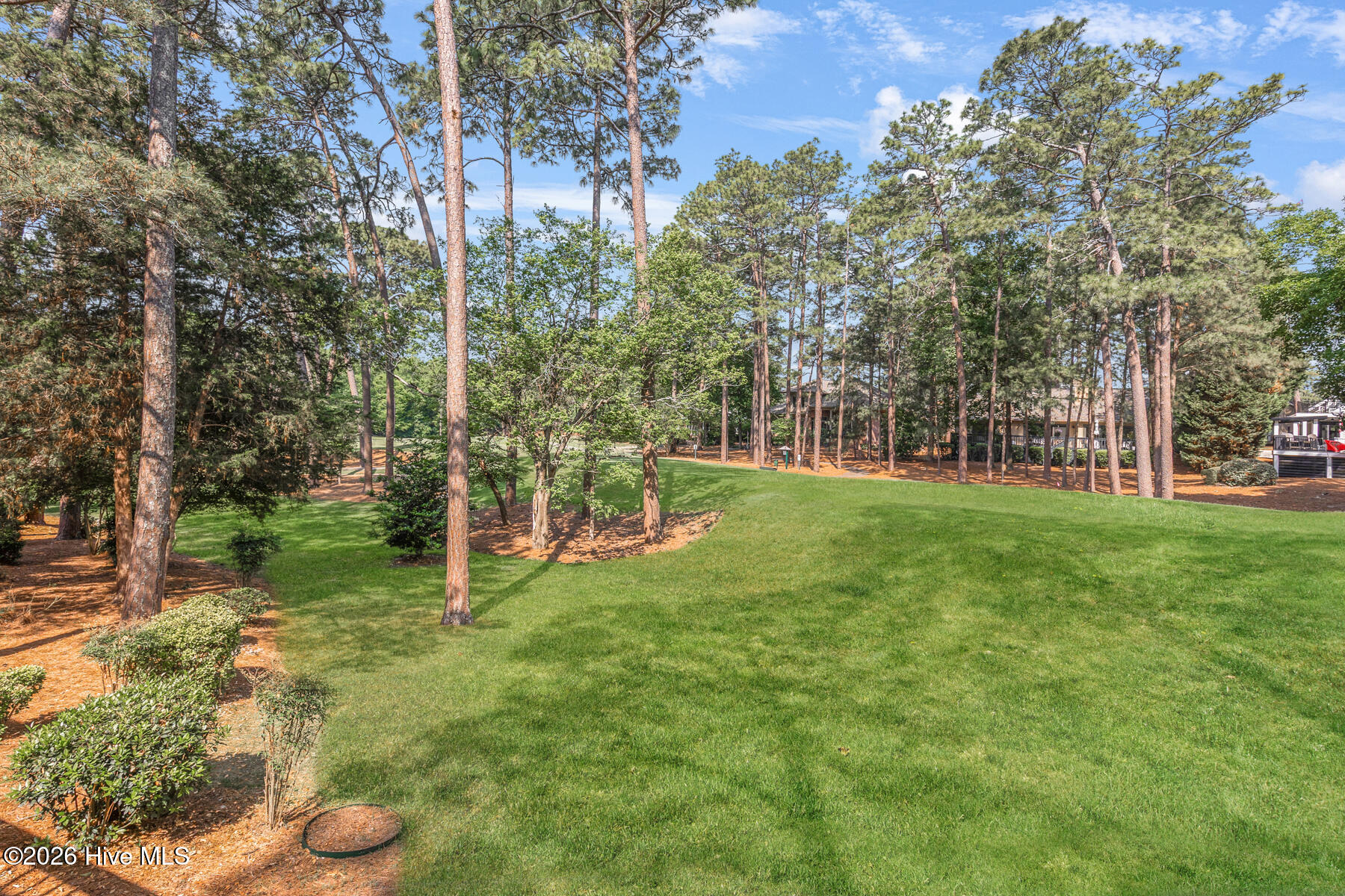 back-deck-golf-view1
