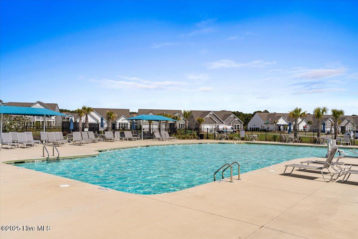 100532421 | Photo 61