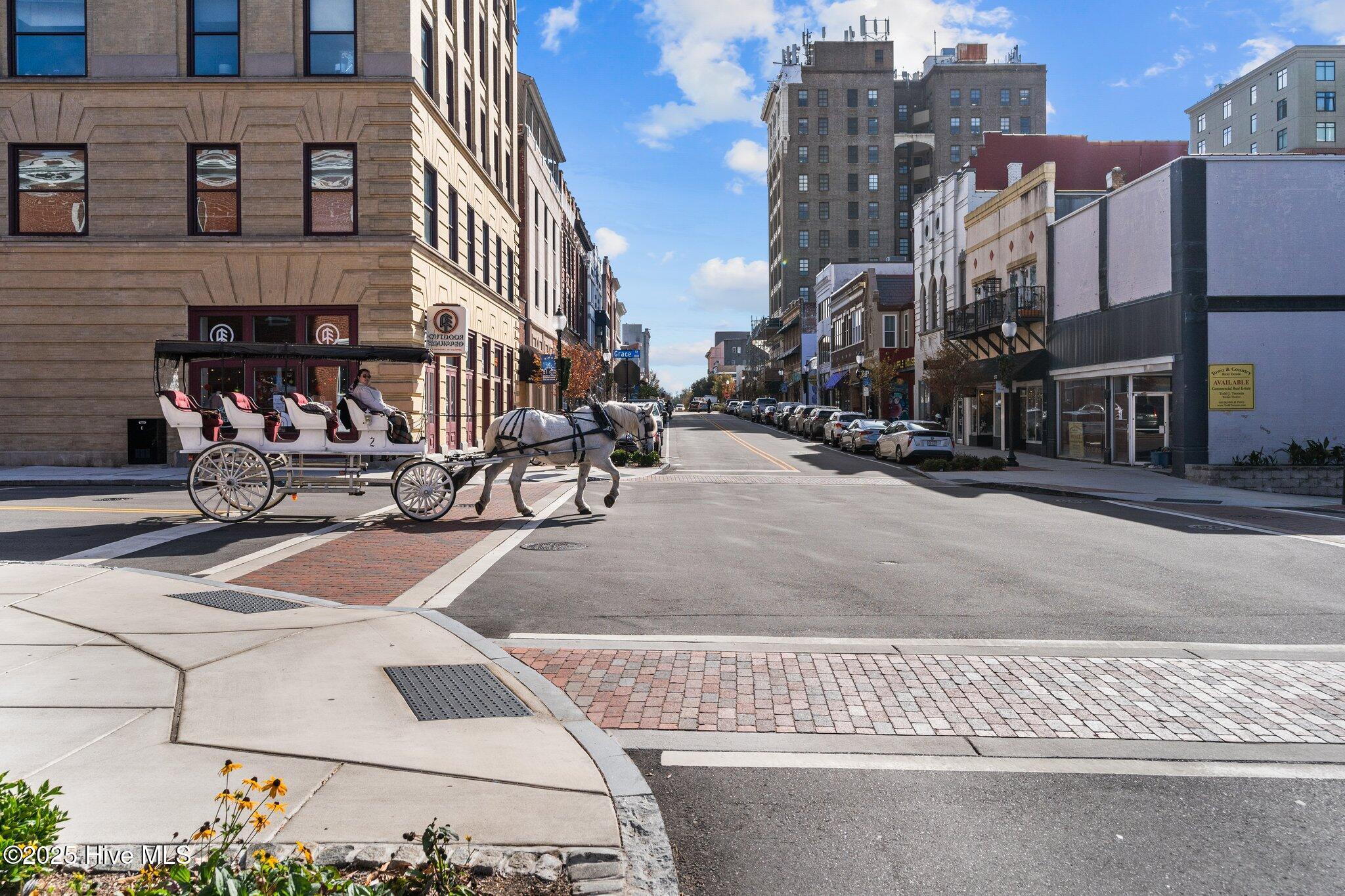 100543966 | Photo 38