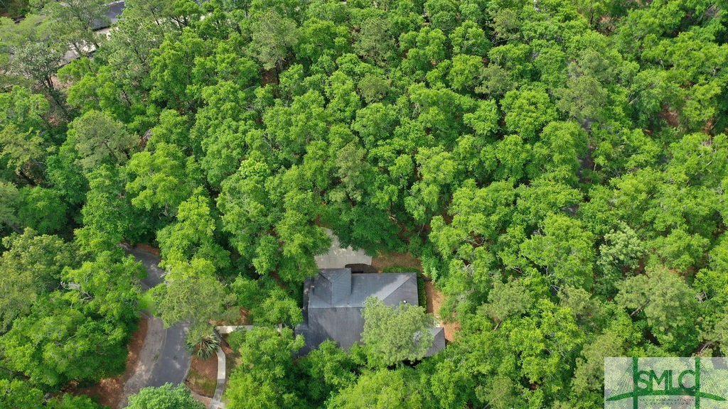 190 Blackjack Oak Drive E, Richmond Hill, GA, 31324