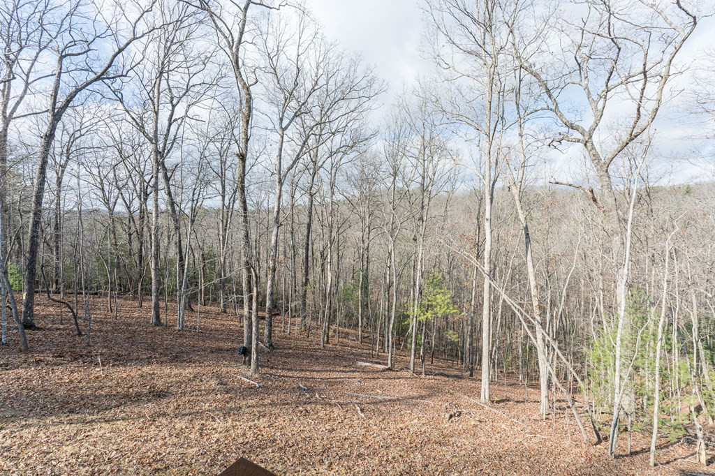 318 Tracks Hollow, Murphy, NC 28906 Listing Photo  40