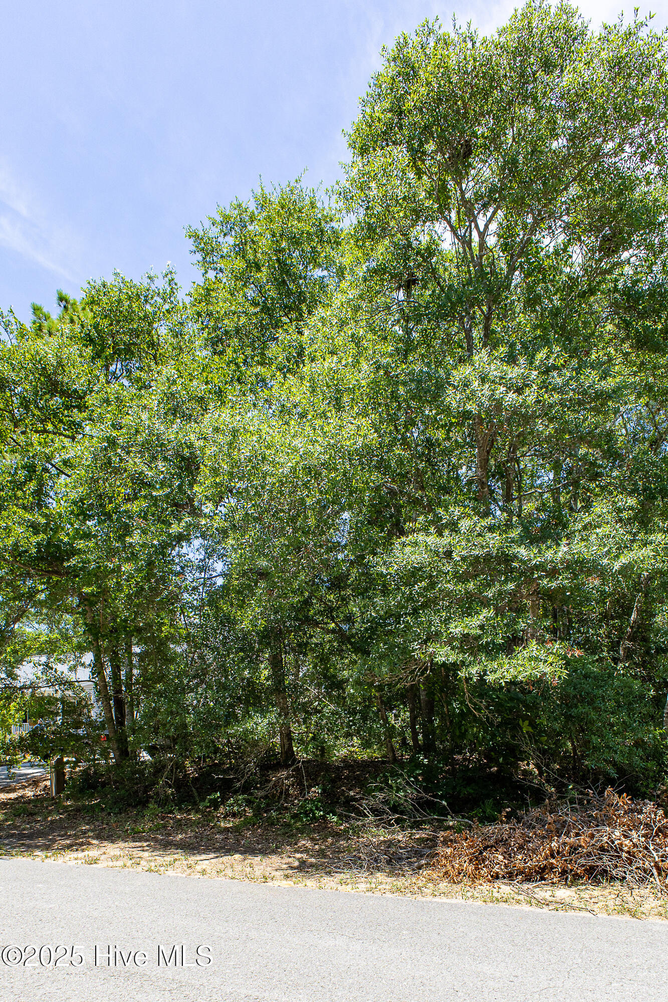 100519177 | Photo 16