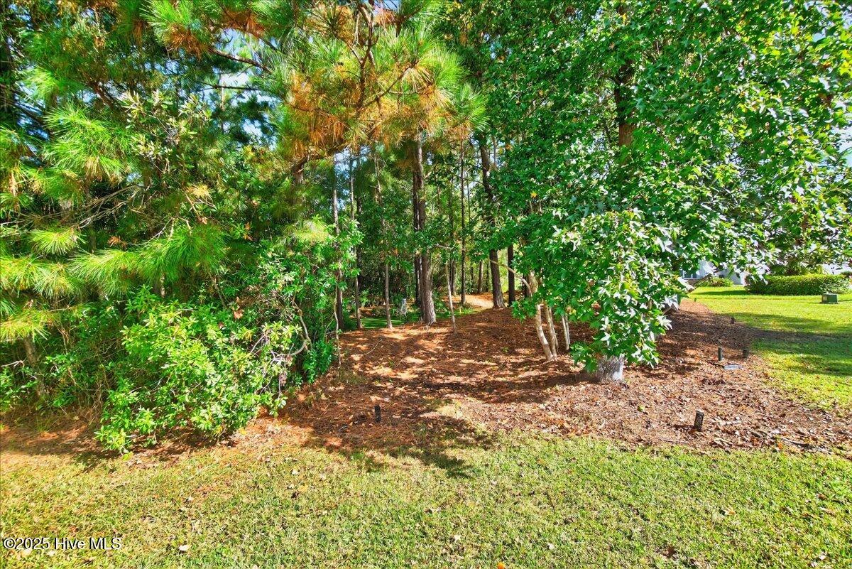 100537745 | Photo 41