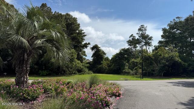 100525886 | Photo 11