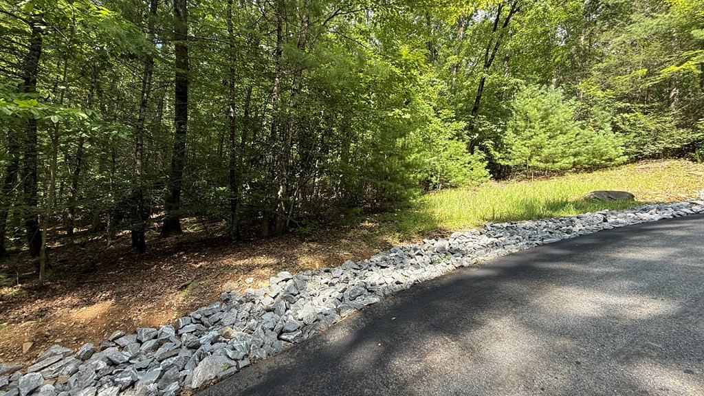 Exterior photo of Lot 45 Granite Drive, Hayesville, NC 28904. MLS: 98543834