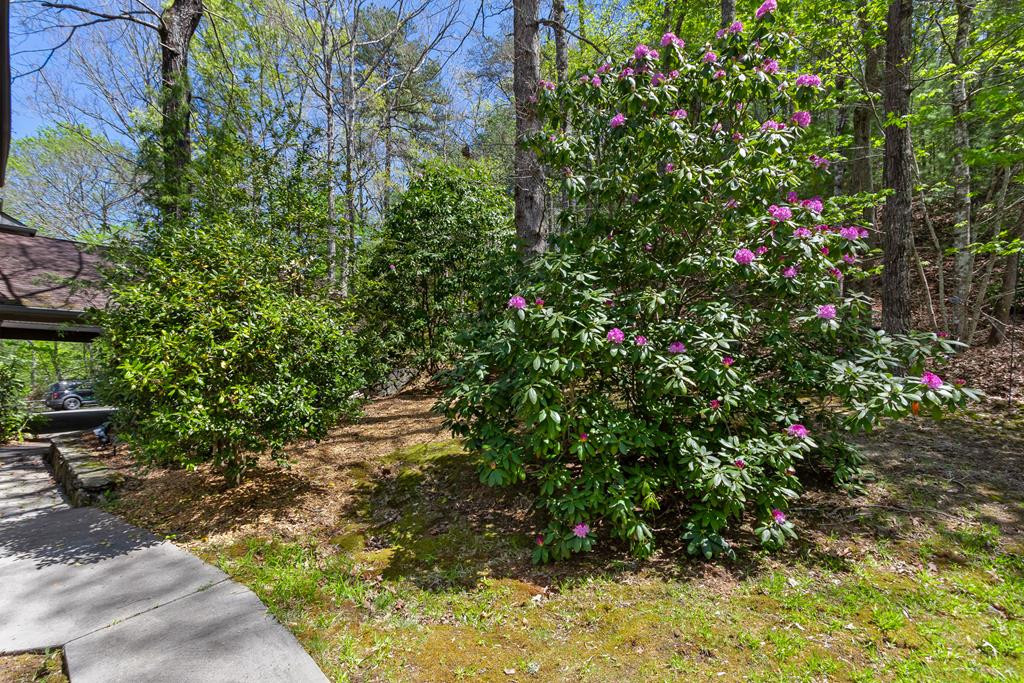 1240 Village Road, Murphy, NC 28906 Listing Photo  74