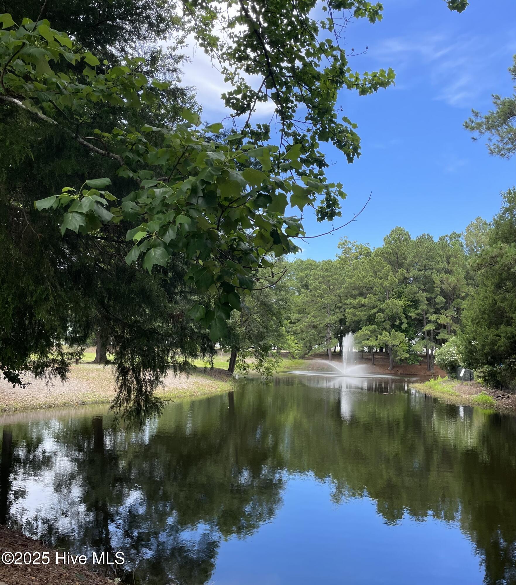 100517426 | Photo 70