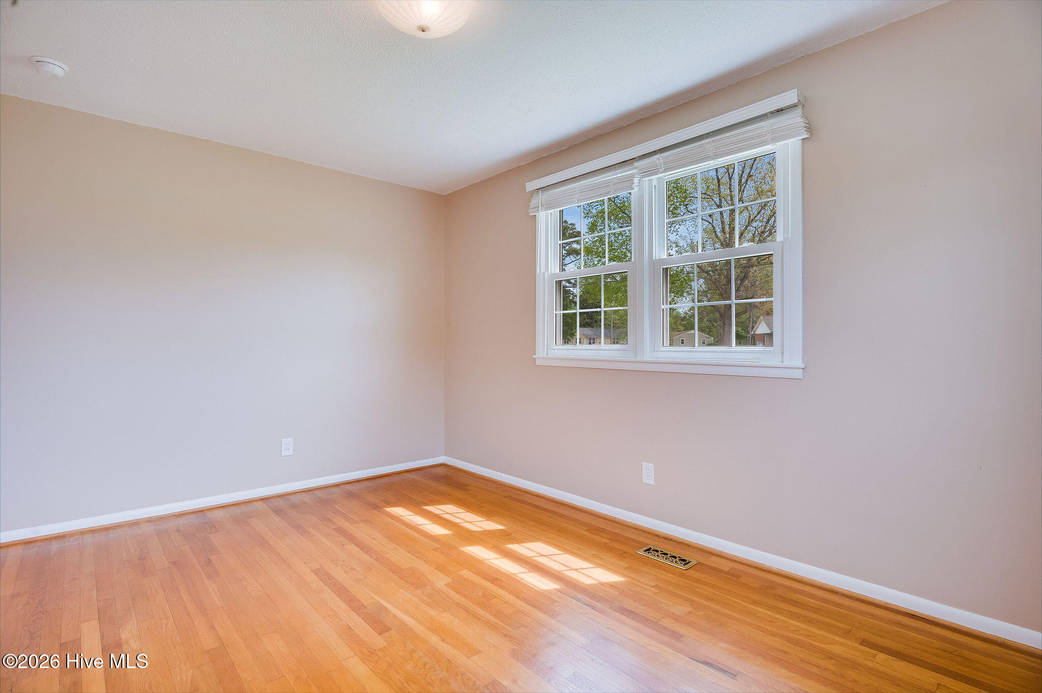 100565785 | Photo 28