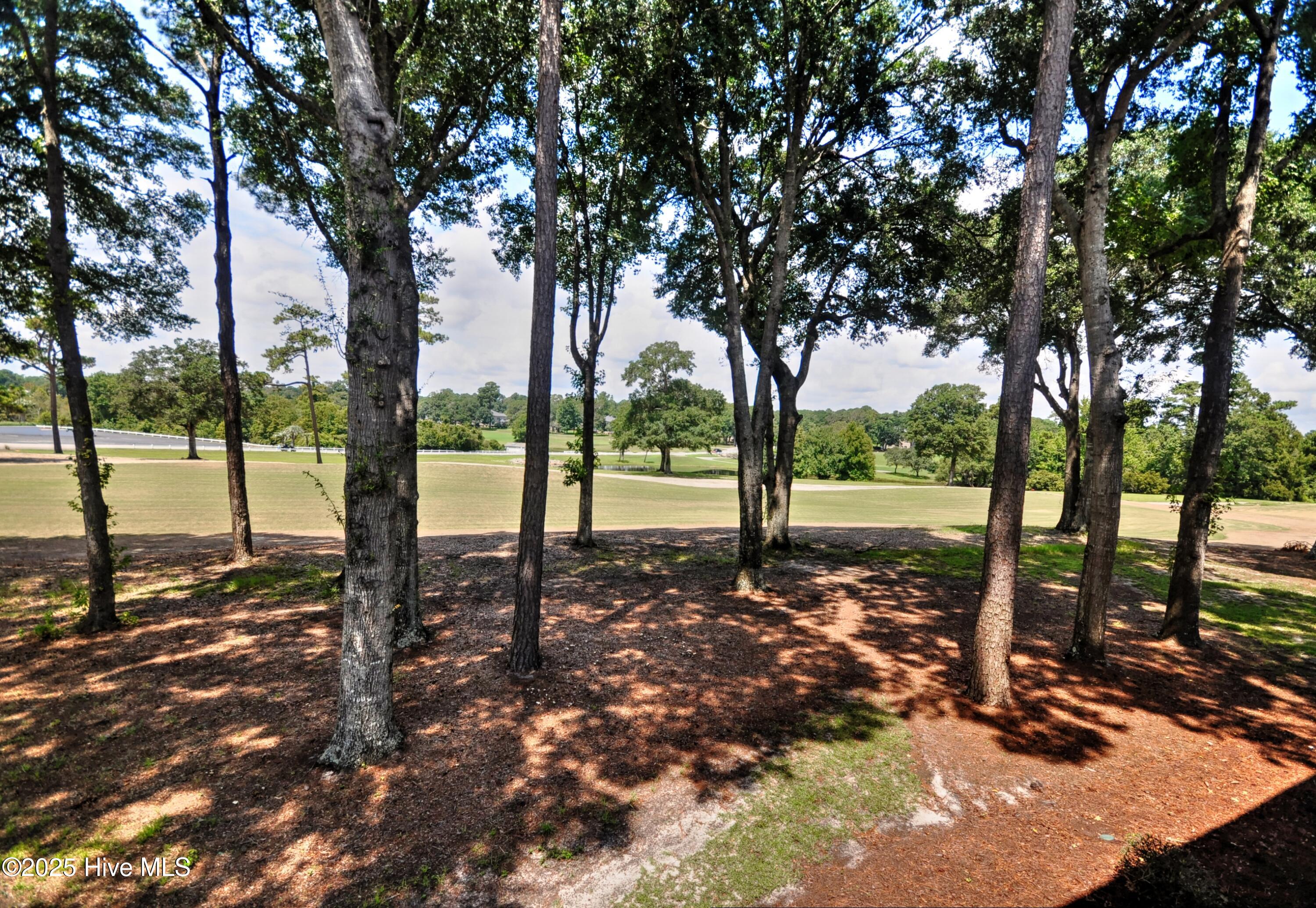 100526351 | Photo 18