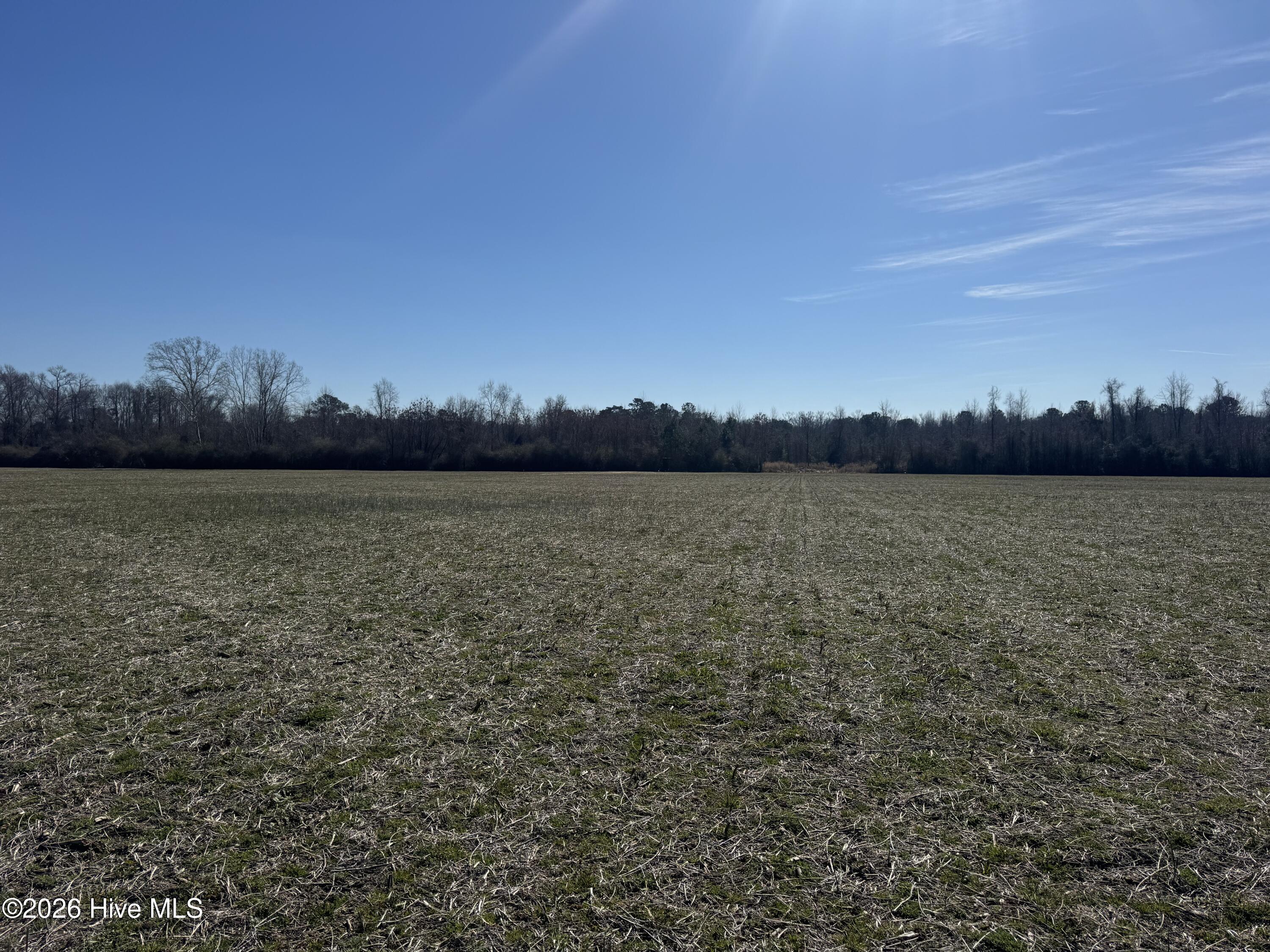 Homes for sale in Cerro Gordo, NC | 0 Near 2034 Haynes Len, Cerro Gordo, NC 28430 | MLS# 100556720