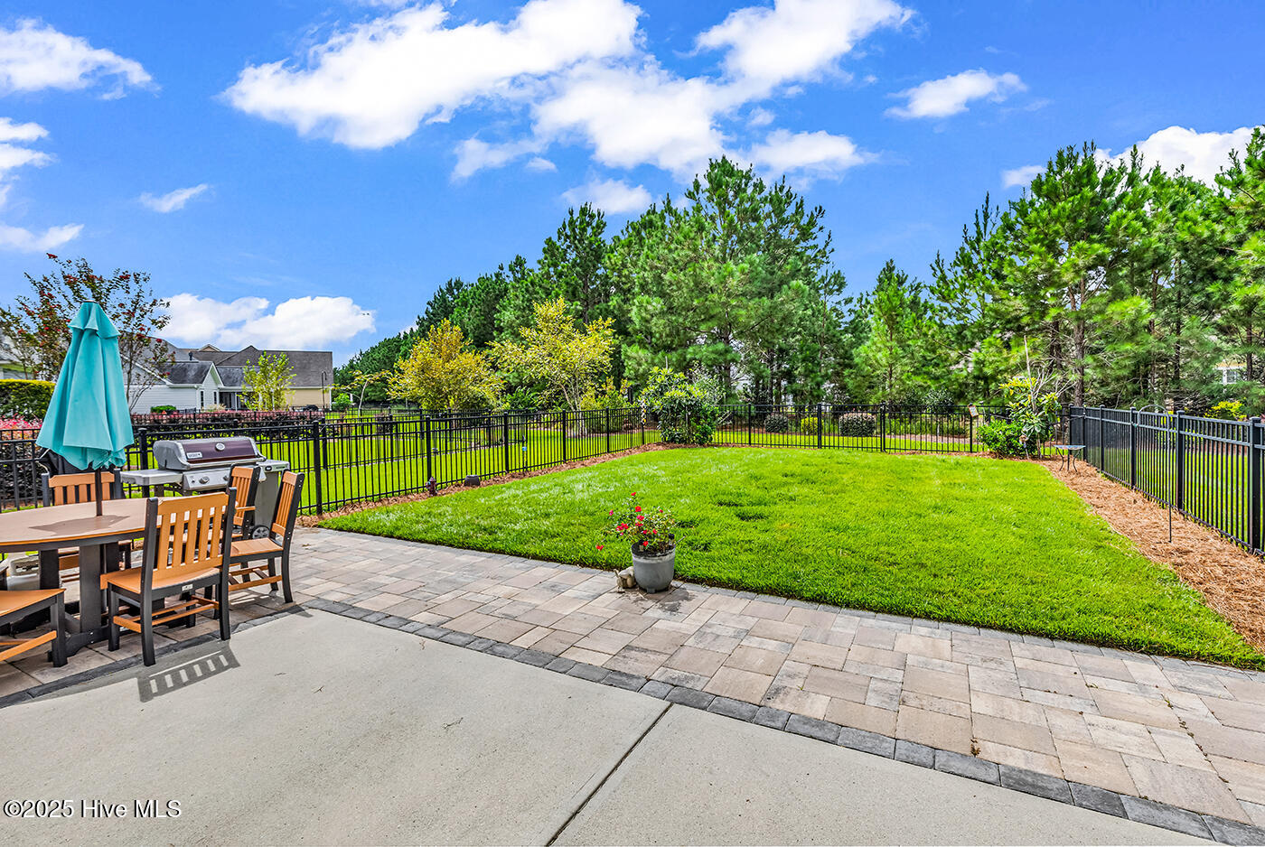 100529992 | Photo 37