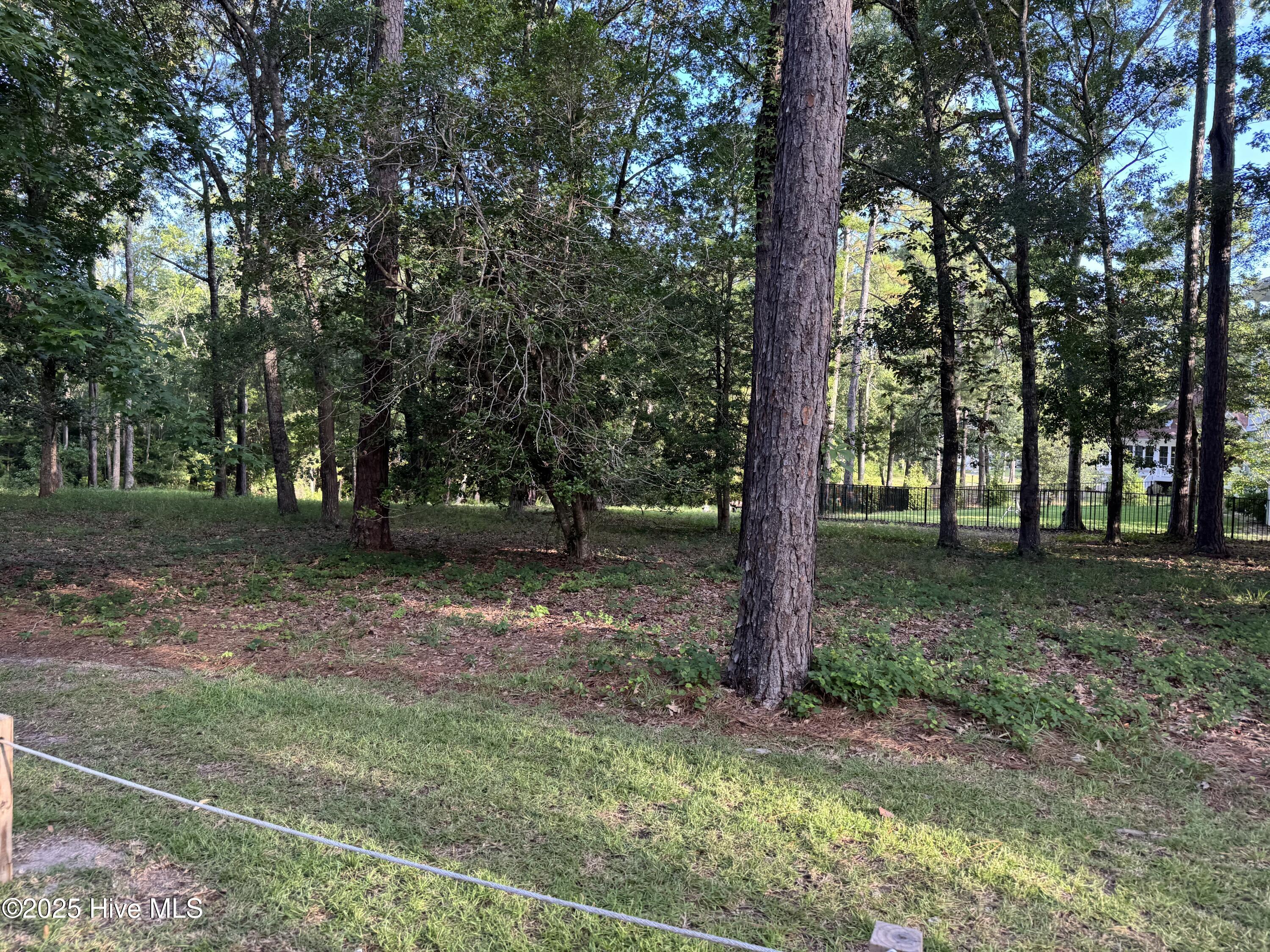 100516751 | Photo 24