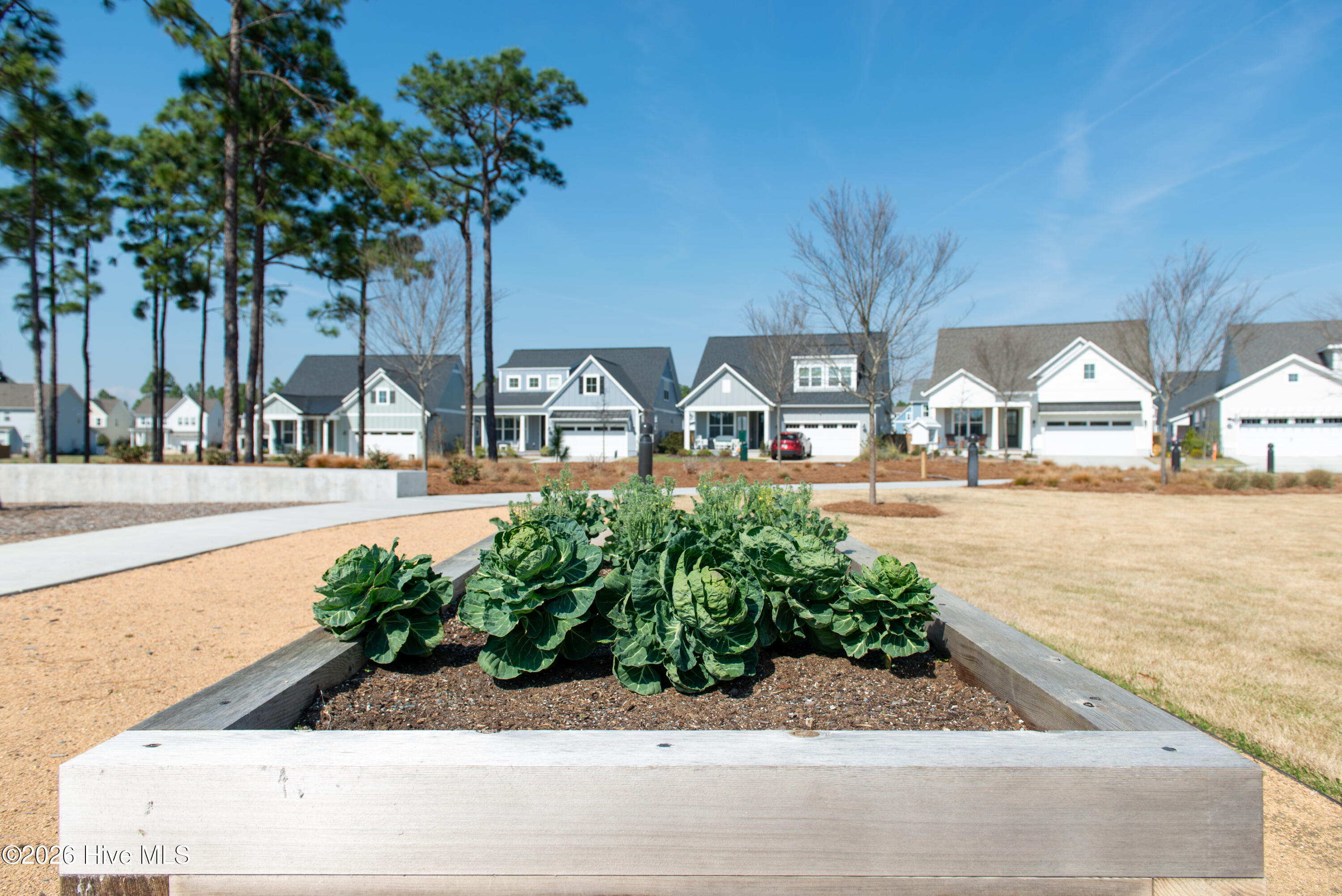 100560299 | Photo 131